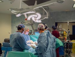 El Servei Territorial de Cirurgia General i l'Aparell Digestiu